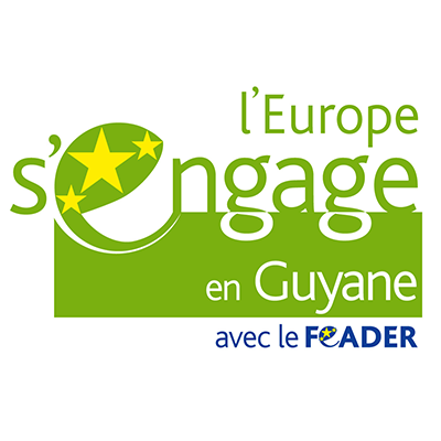 L'Europe en région Guyane : financements, programmes et aides de l'UE 